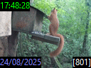 17:48:28