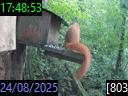 17:48:53