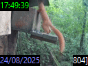 17:49:39