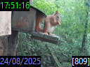 17:51:16