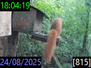 18:04:19