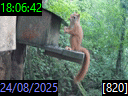 18:06:42