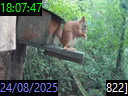 18:07:47