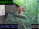 18:07:51