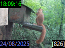 18:09:16