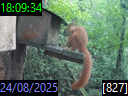 18:09:34