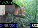 18:09:49