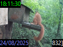 18:11:30