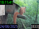 18:11:41