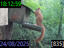 18:12:59