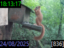 18:13:17