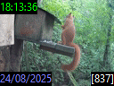 18:13:36
