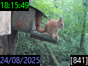 18:15:49