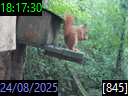 18:17:30