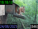 18:18:13