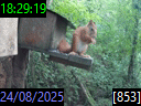 18:29:19