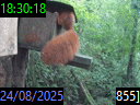 18:30:18