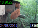 18:30:27