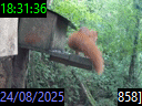 18:31:36