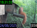 18:31:55