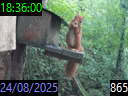 18:36:00