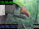18:36:46