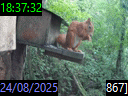 18:37:32