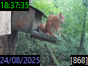 18:37:35